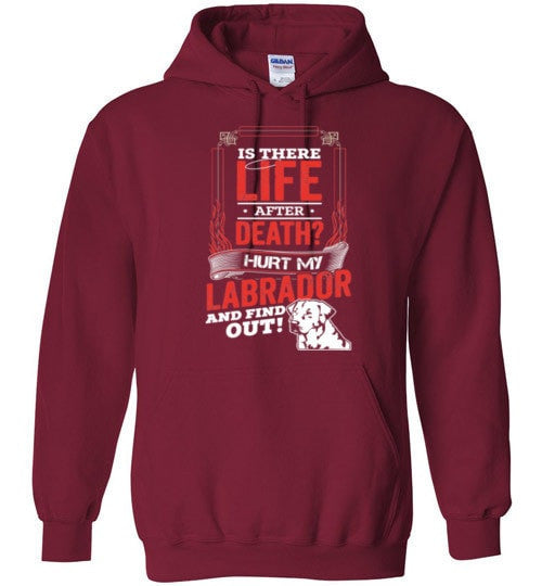 IS THERE LIFE AFTER DEATH?