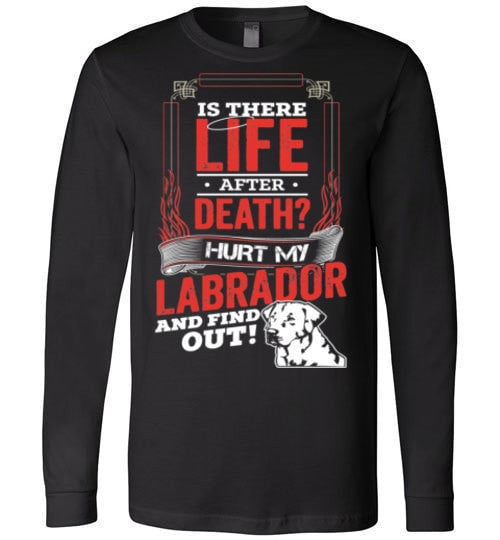 IS THERE LIFE AFTER DEATH?