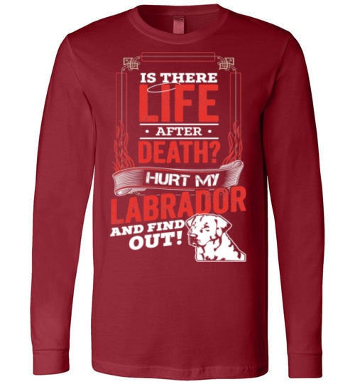 IS THERE LIFE AFTER DEATH?