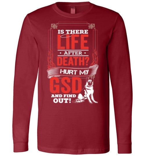 IS THERE LIFE AFTER DEATH?