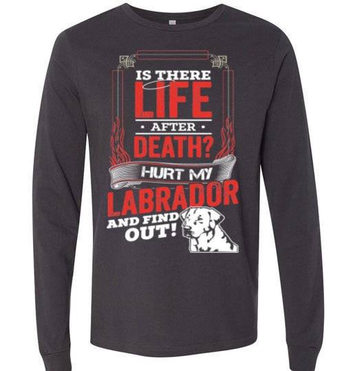 IS THERE LIFE AFTER DEATH?