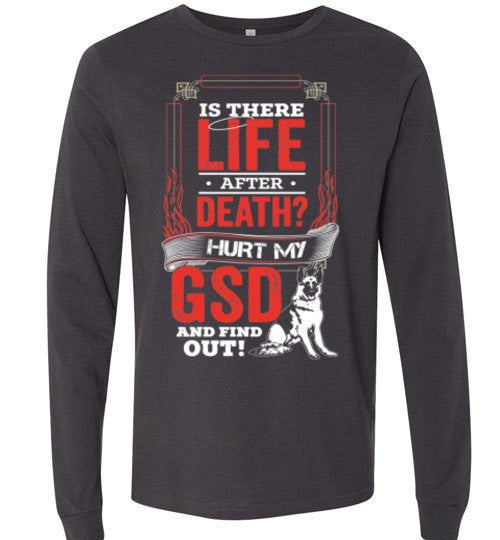 IS THERE LIFE AFTER DEATH?