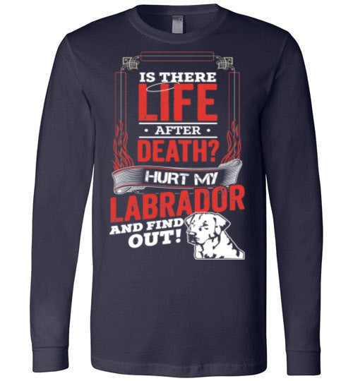 IS THERE LIFE AFTER DEATH?