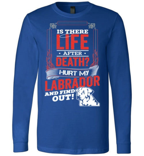 IS THERE LIFE AFTER DEATH?