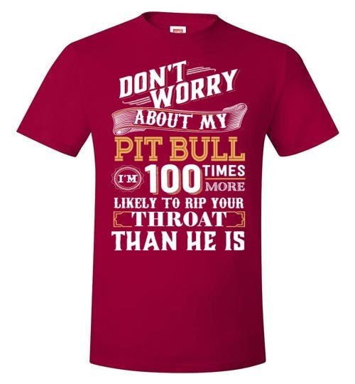 DON'T WORRY ABOUT MY PIT BULL