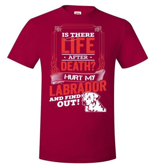 IS THERE LIFE AFTER DEATH?