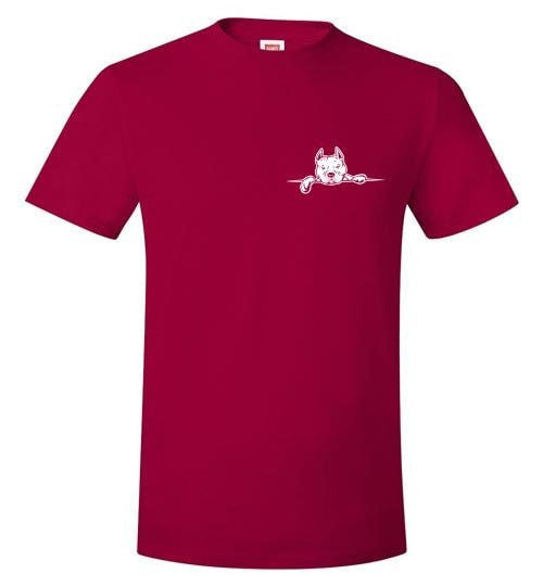 THANKFUL TO MY PIT BULL