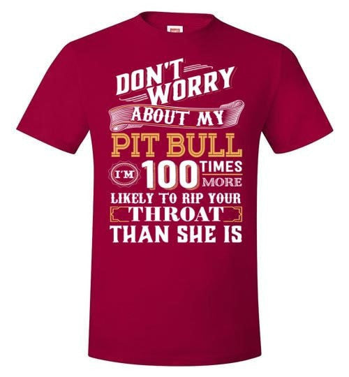DON'T WORRY ABOUT MY PIT BULL