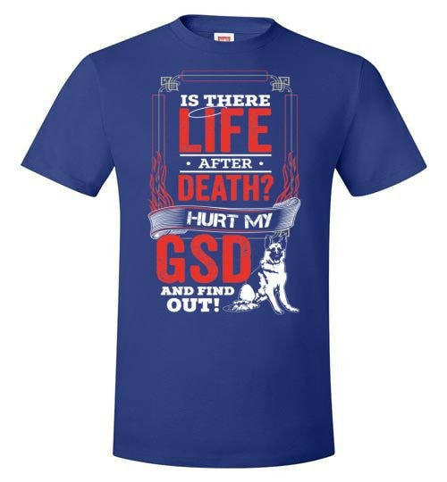 IS THERE LIFE AFTER DEATH?