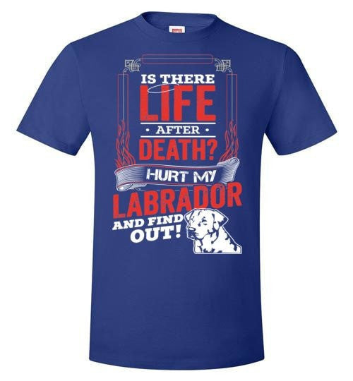 IS THERE LIFE AFTER DEATH?