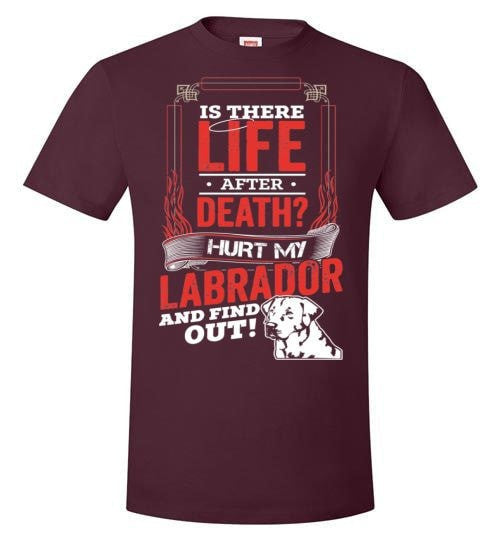 IS THERE LIFE AFTER DEATH?