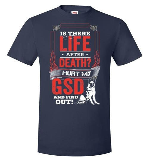 IS THERE LIFE AFTER DEATH?