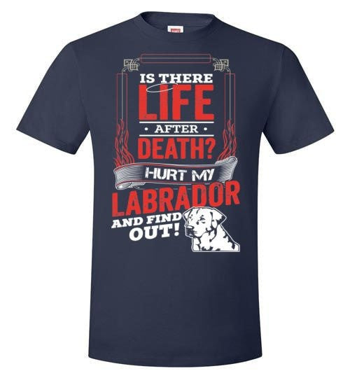 IS THERE LIFE AFTER DEATH?