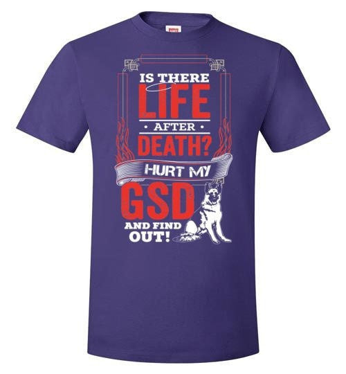 IS THERE LIFE AFTER DEATH?