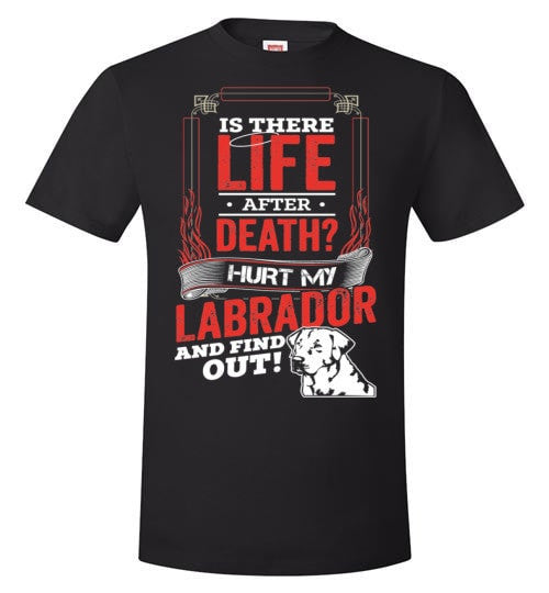 IS THERE LIFE AFTER DEATH?