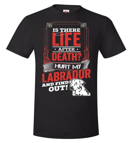 IS THERE LIFE AFTER DEATH?