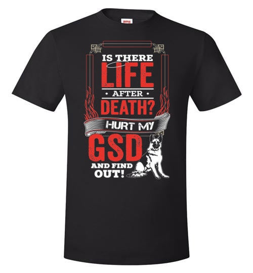 IS THERE LIFE AFTER DEATH?